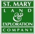 STM Logo