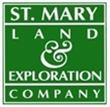STM Logo
