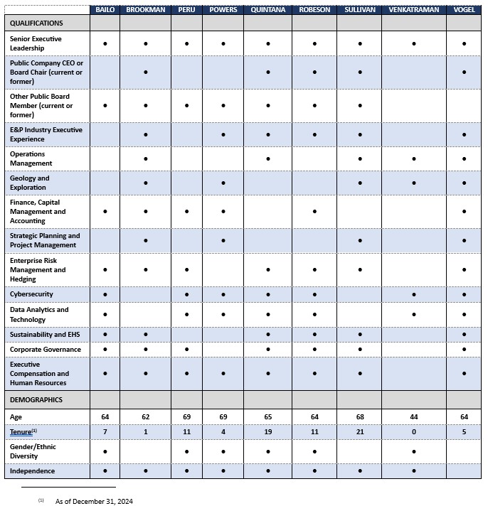 Skills Matrix .jpg
